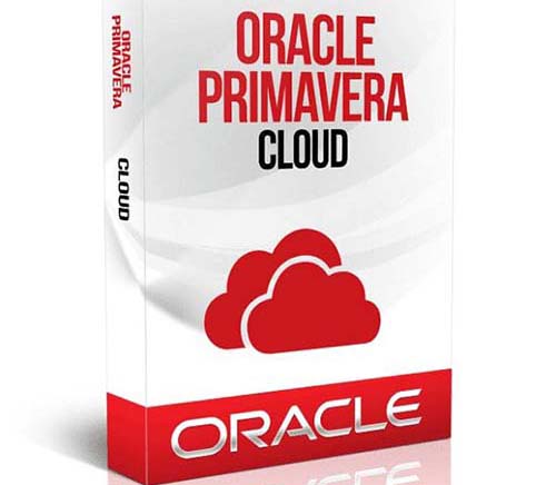 Curso de Oracle Primavera
